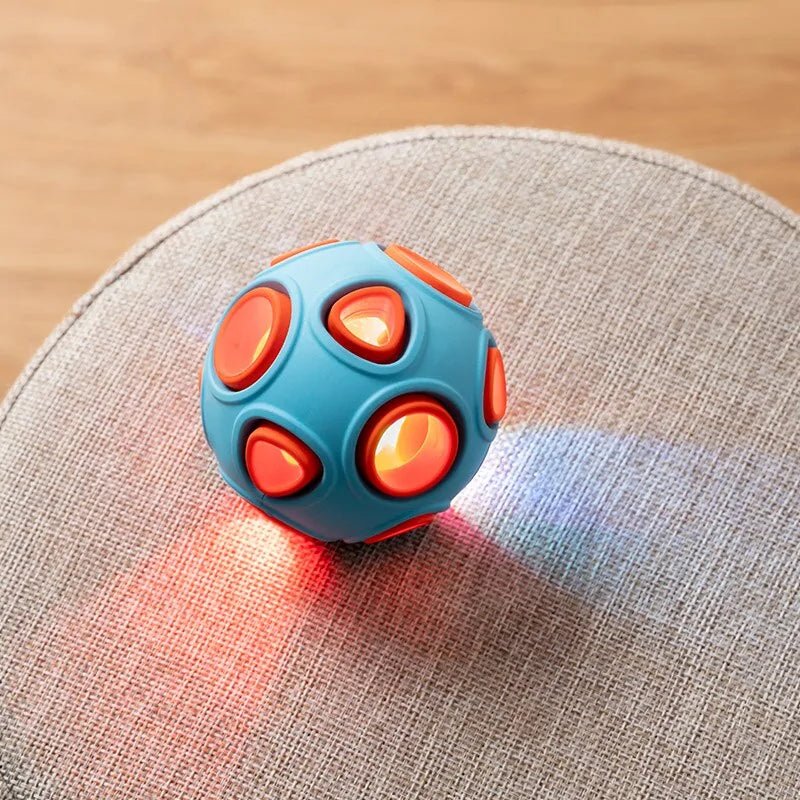 Bouncy Dog Ball
