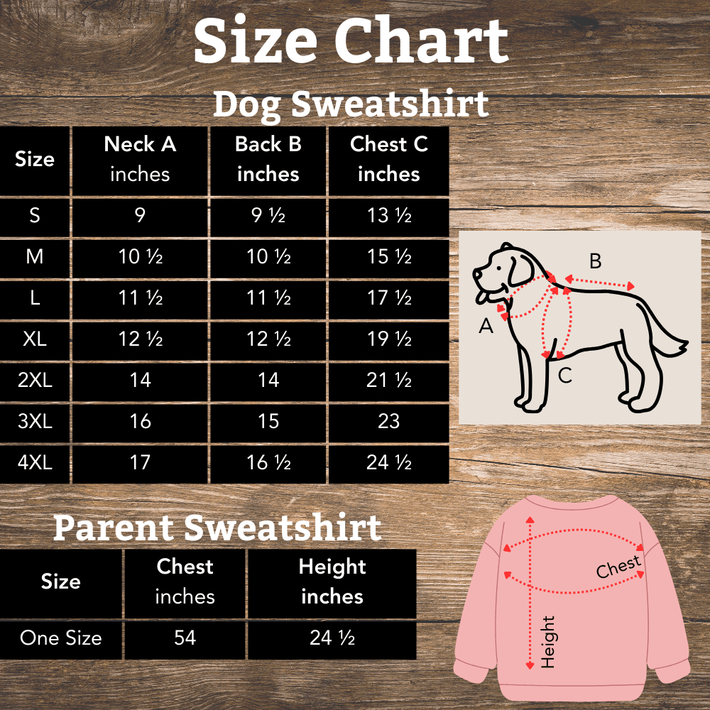 Everyday Dino Matching Sweatshirt Dog & Parent - Cool Gear Pro