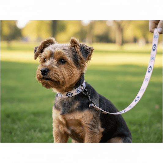 Evil Eye Dog Collar and Leash - Stylish Pink - Cool Gear Pro