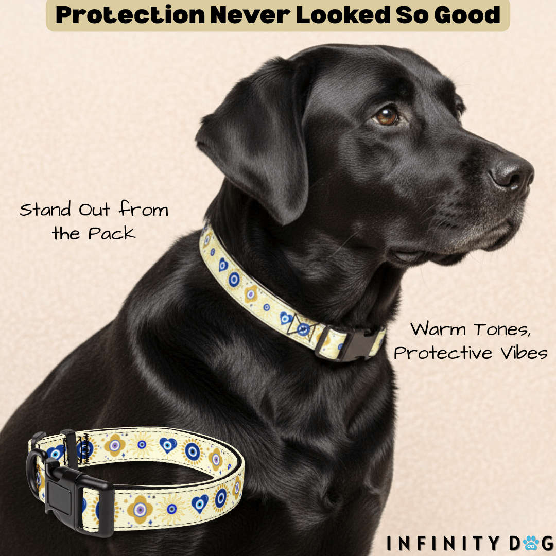 Evil Eye Dog Collar - Pup Protection - Cool Gear Pro