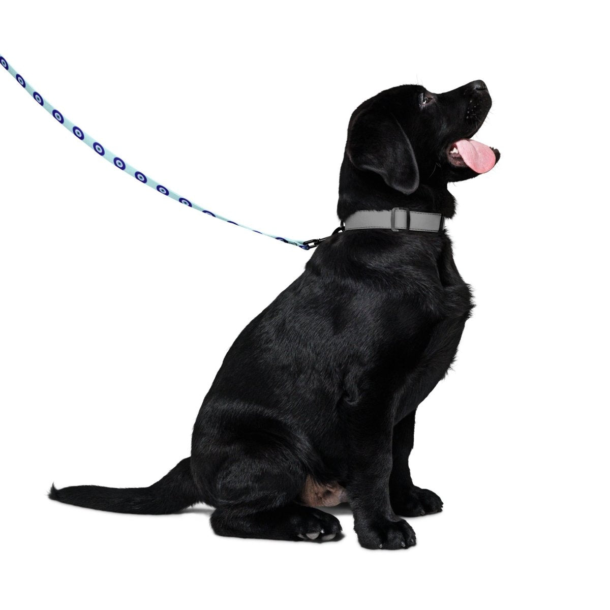 Evil Eye Dog Leash (Blue) — Pup Protection & Padded Comfort - Infinity Dog