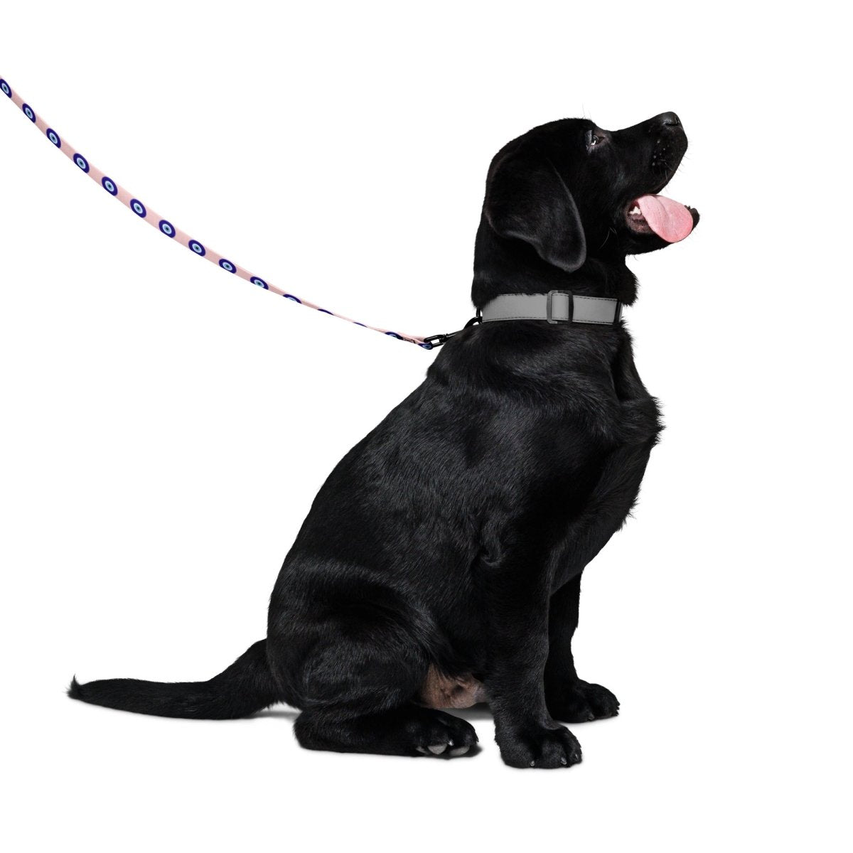 Evil Eye Dog Leash (Pink) — Pup Protection & Padded Comfort - Infinity Dog