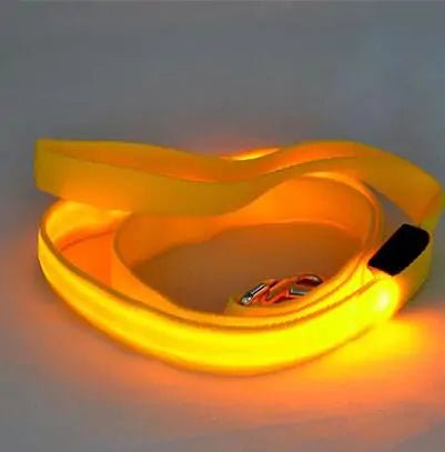 Glow In Dark Dog Leash - Cool Gear Pro