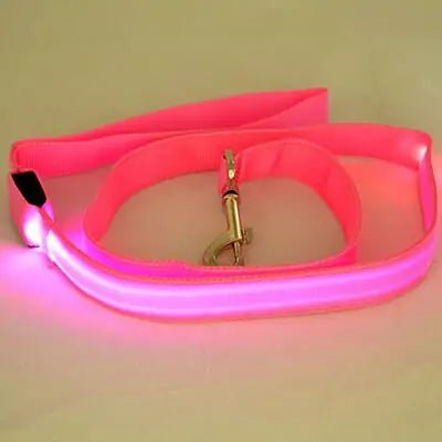 Glow In Dark Dog Leash - Cool Gear Pro