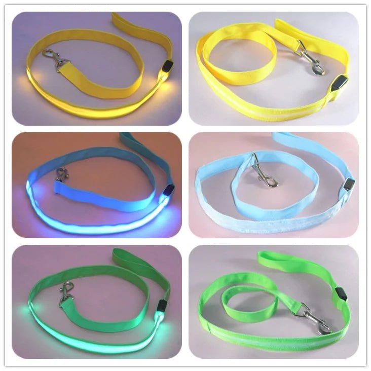 Glow In Dark Dog Leash - Cool Gear Pro