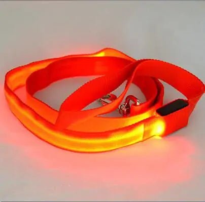 Glow In Dark Dog Leash - Cool Gear Pro
