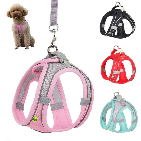Harness Leash Set for Dogs - Cool Gear Pro