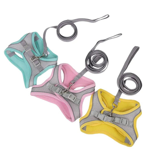 Harness Leash Set for Dogs - Cool Gear Pro