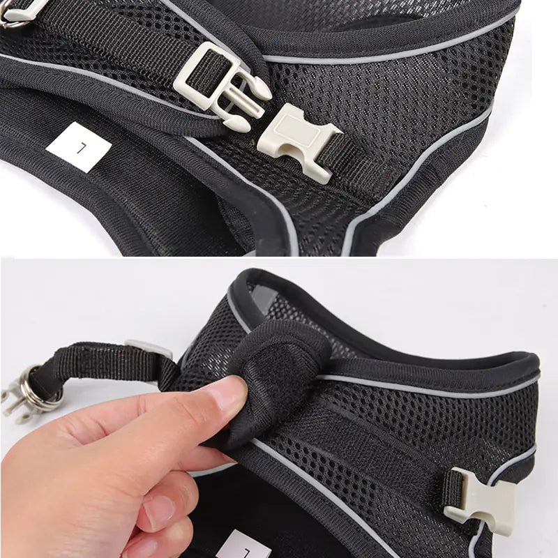Harness Leash Set for Dogs - Cool Gear Pro