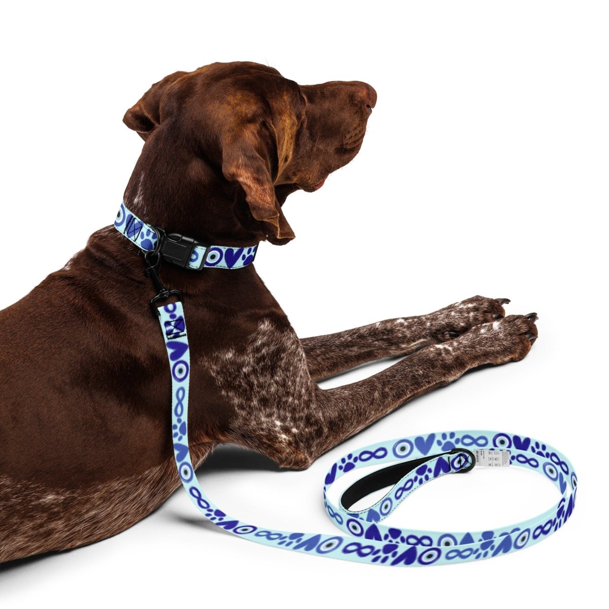 I Love Dogs to Infinity Leash & Collar - Blue - Cool Gear Pro
