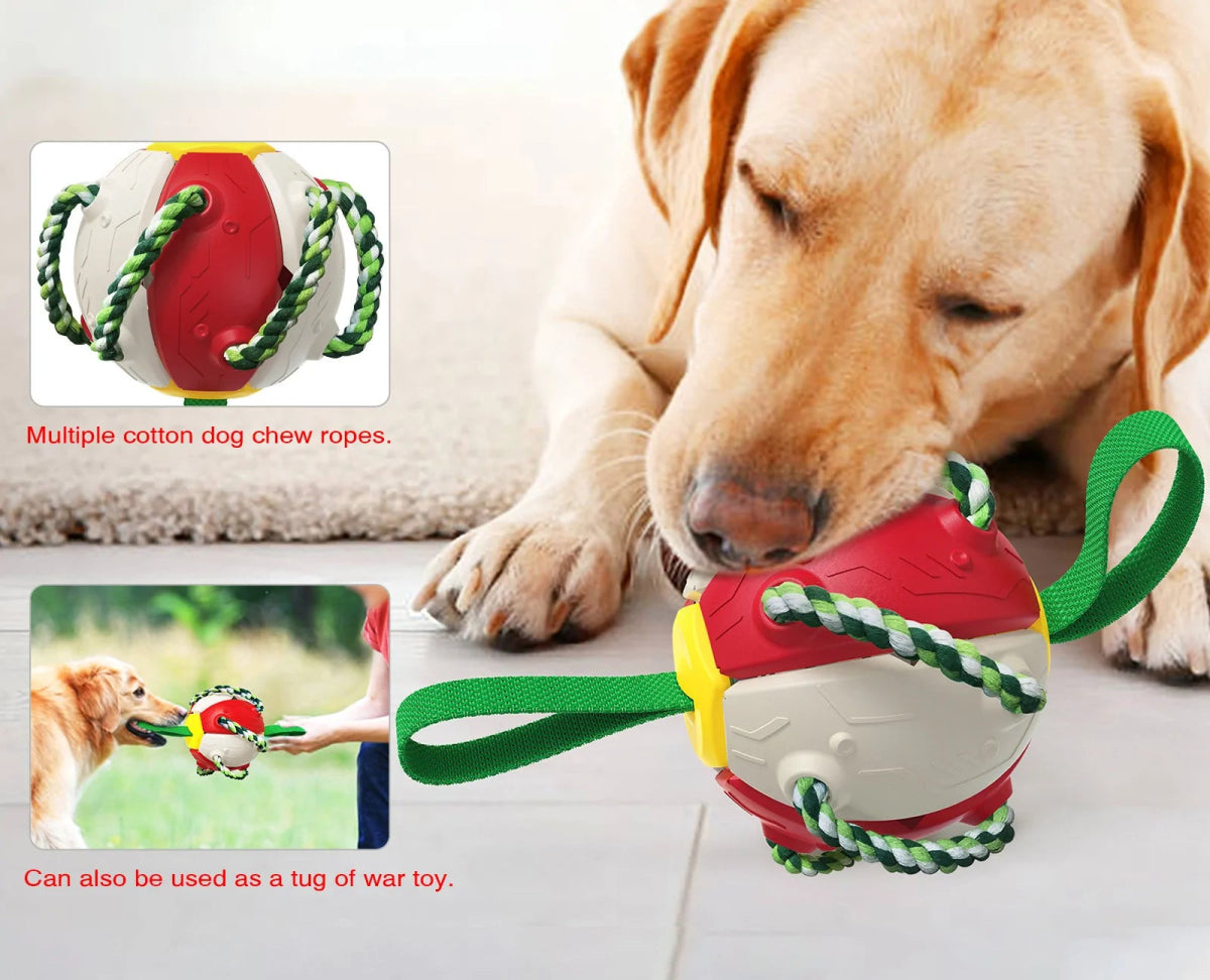 Interactive Collapsing Dog Toy - Cool Gear Pro