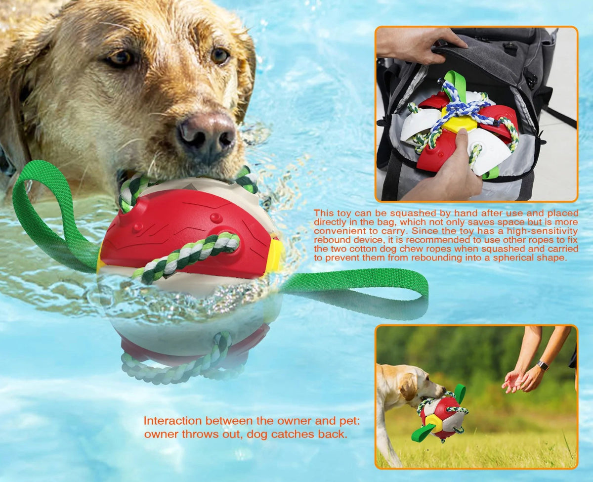 Interactive Collapsing Dog Toy - Cool Gear Pro