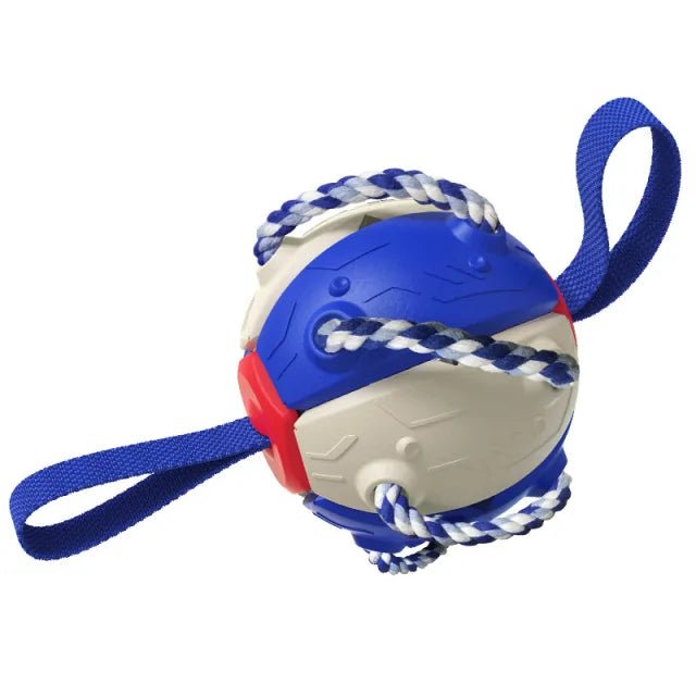 Interactive Collapsing Dog Toy - Cool Gear Pro