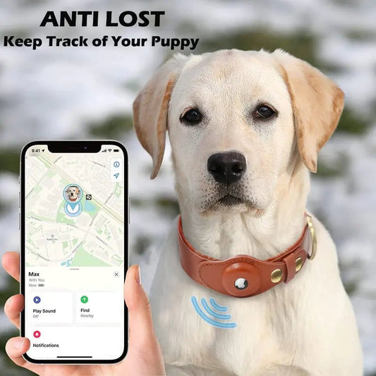 Leather Anti-Lost Dog Collar - Cool Gear Pro