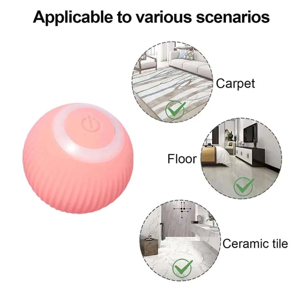 Automatic Pet Toy