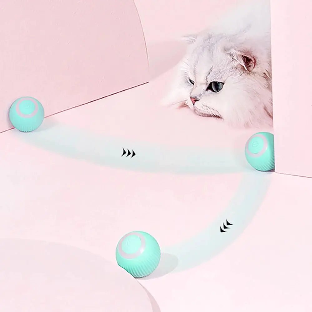 Interactive Dog Ball