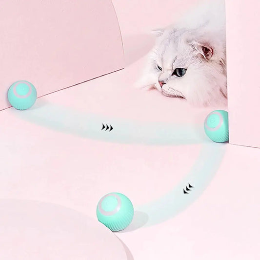 Interactive Dog Ball