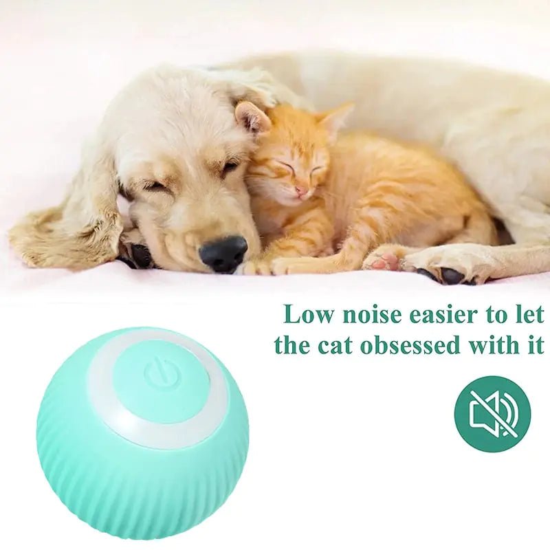 Durable Pet Ball