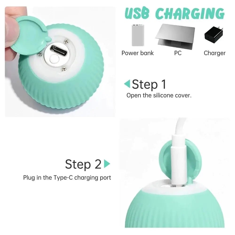 Pet Exercise Toy