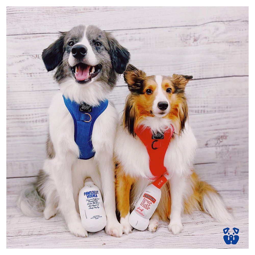 PAWSOLUT VODKA PLUSH DOG TOY - Cool Gear Pro