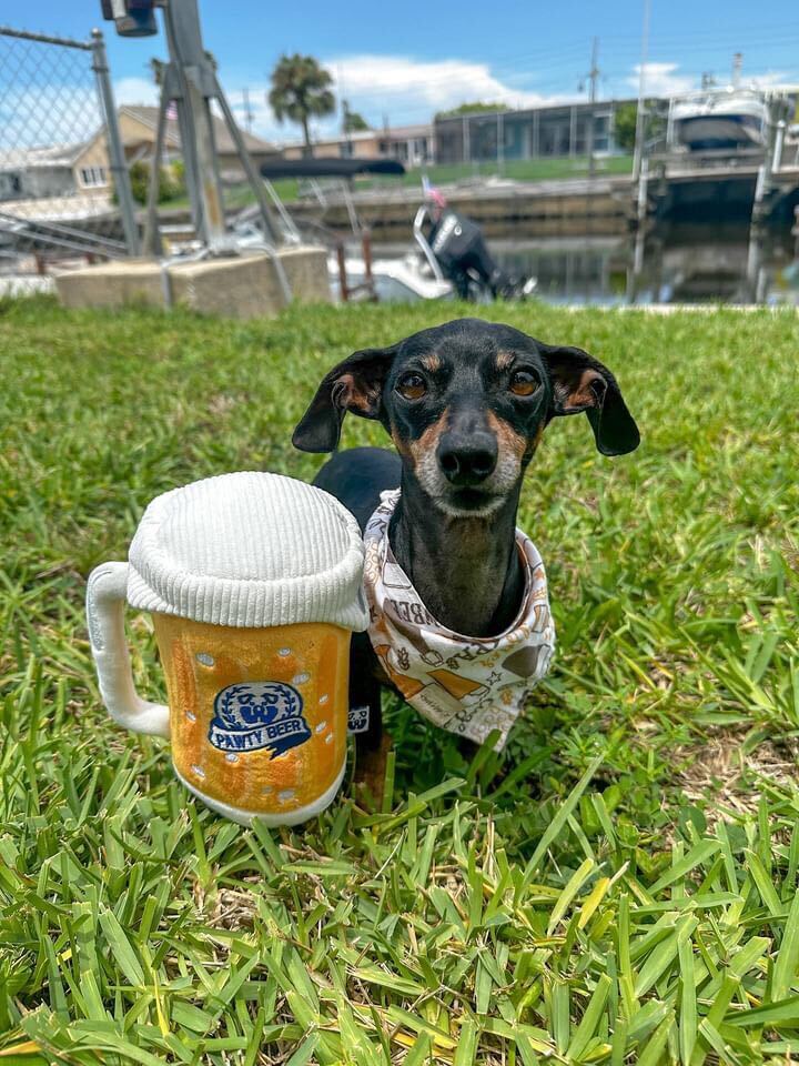 PAWTY BEER PLUSH DOG TOY - Cool Gear Pro