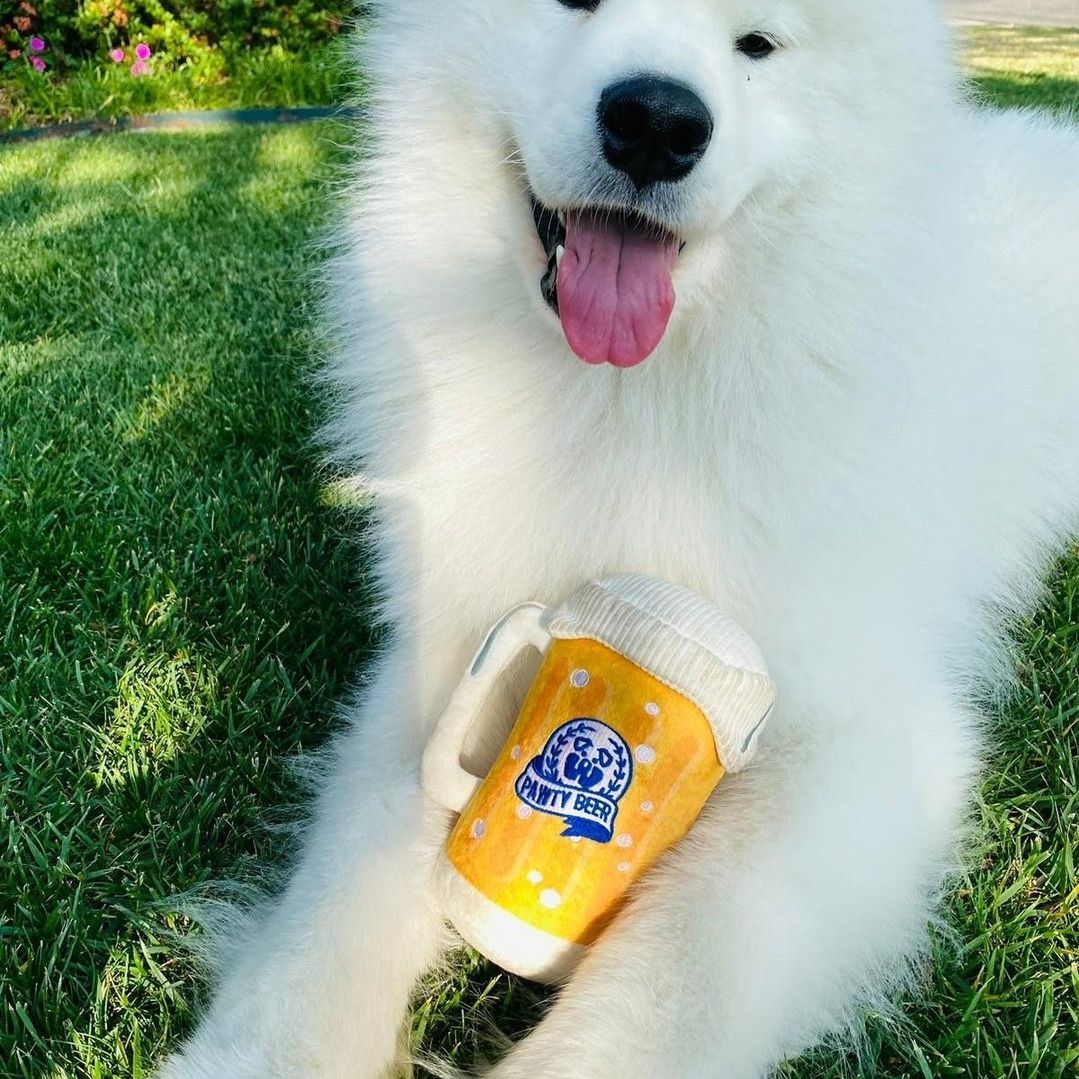 PAWTY BEER PLUSH DOG TOY - Cool Gear Pro