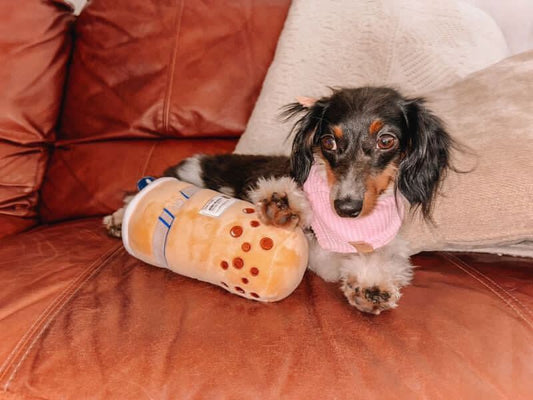 PAWTY BOBA PLUSH DOG TOY - Cool Gear Pro