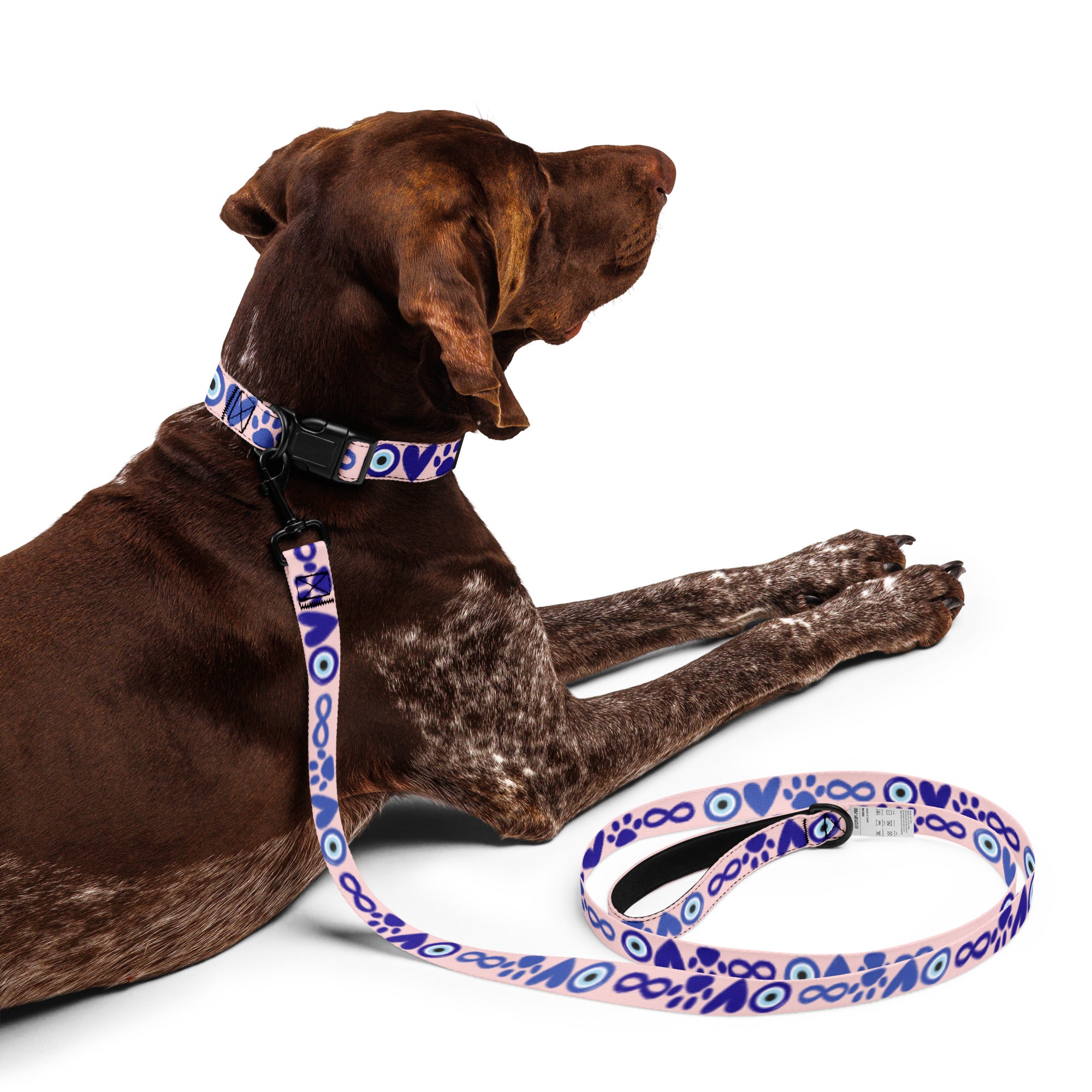 Brown dog lying down wearing a patterned Evil Eye collar and leash set.