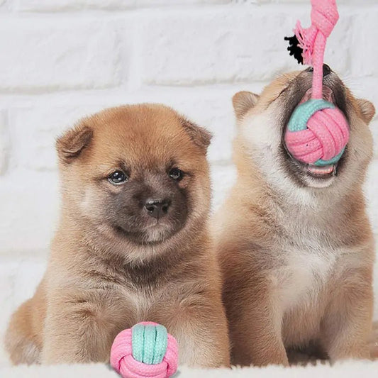 Pet Dog Chew Toys - Cool Gear Pro
