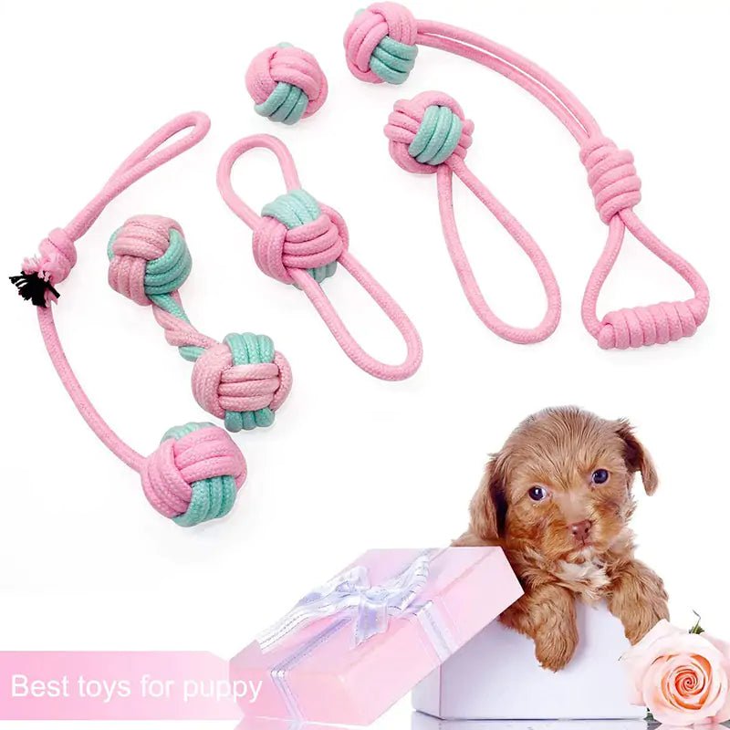 Pet Dog Chew Toys - Cool Gear Pro