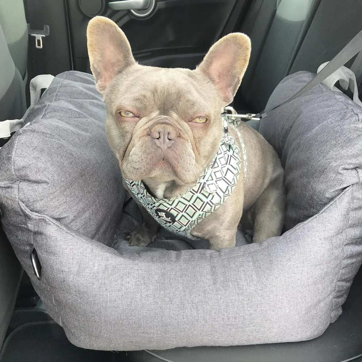 Pet Travel Bed - Cool Gear Pro