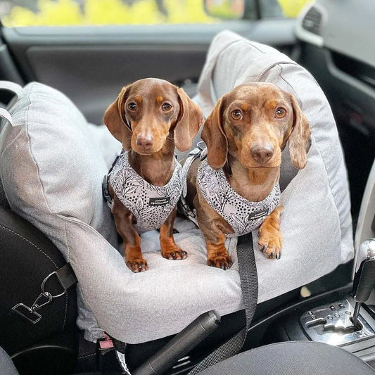 Pet Travel Bed - Cool Gear Pro