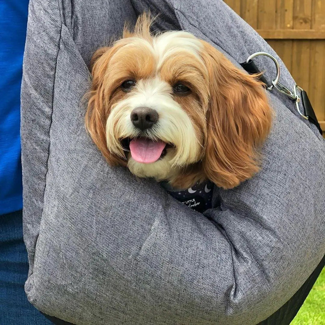 Pet Travel Bed - Cool Gear Pro
