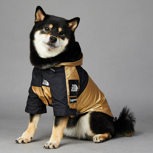 Polyester Dog Raincoat — Waterproof & Lightweight - Infinity Dog