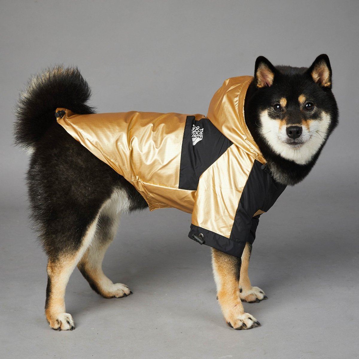 Polyester Dog Raincoat — Waterproof & Lightweight - Infinity Dog