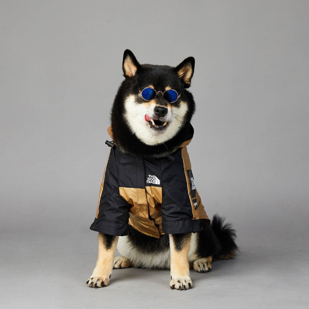 Polyester Dog Raincoat — Waterproof & Lightweight - Infinity Dog