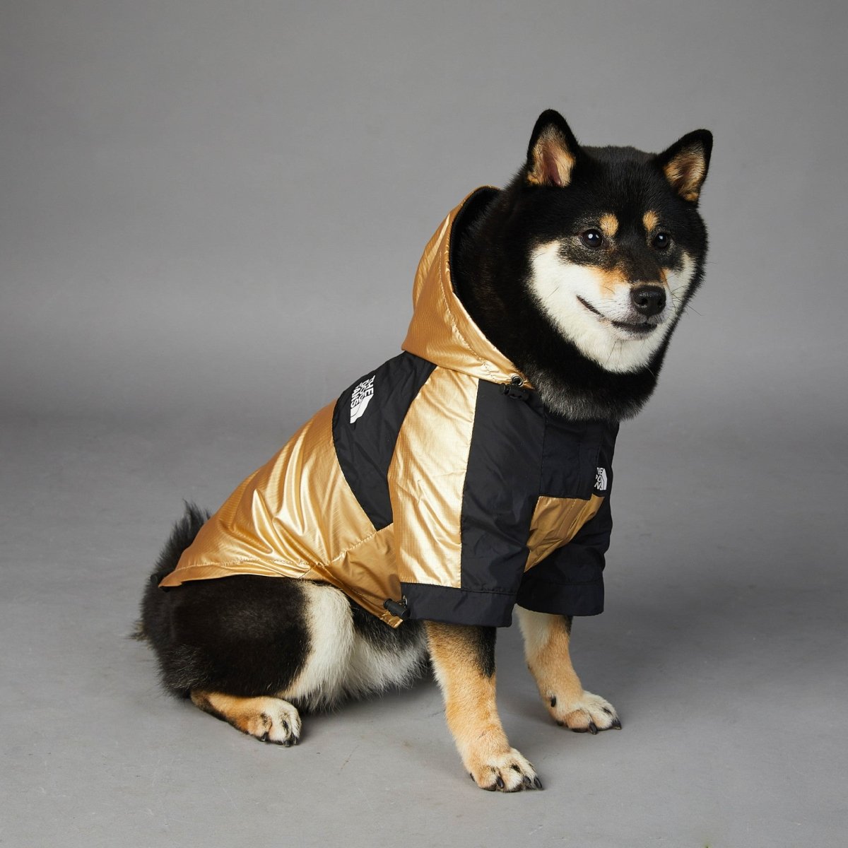 Polyester Dog Raincoat — Waterproof & Lightweight - Infinity Dog