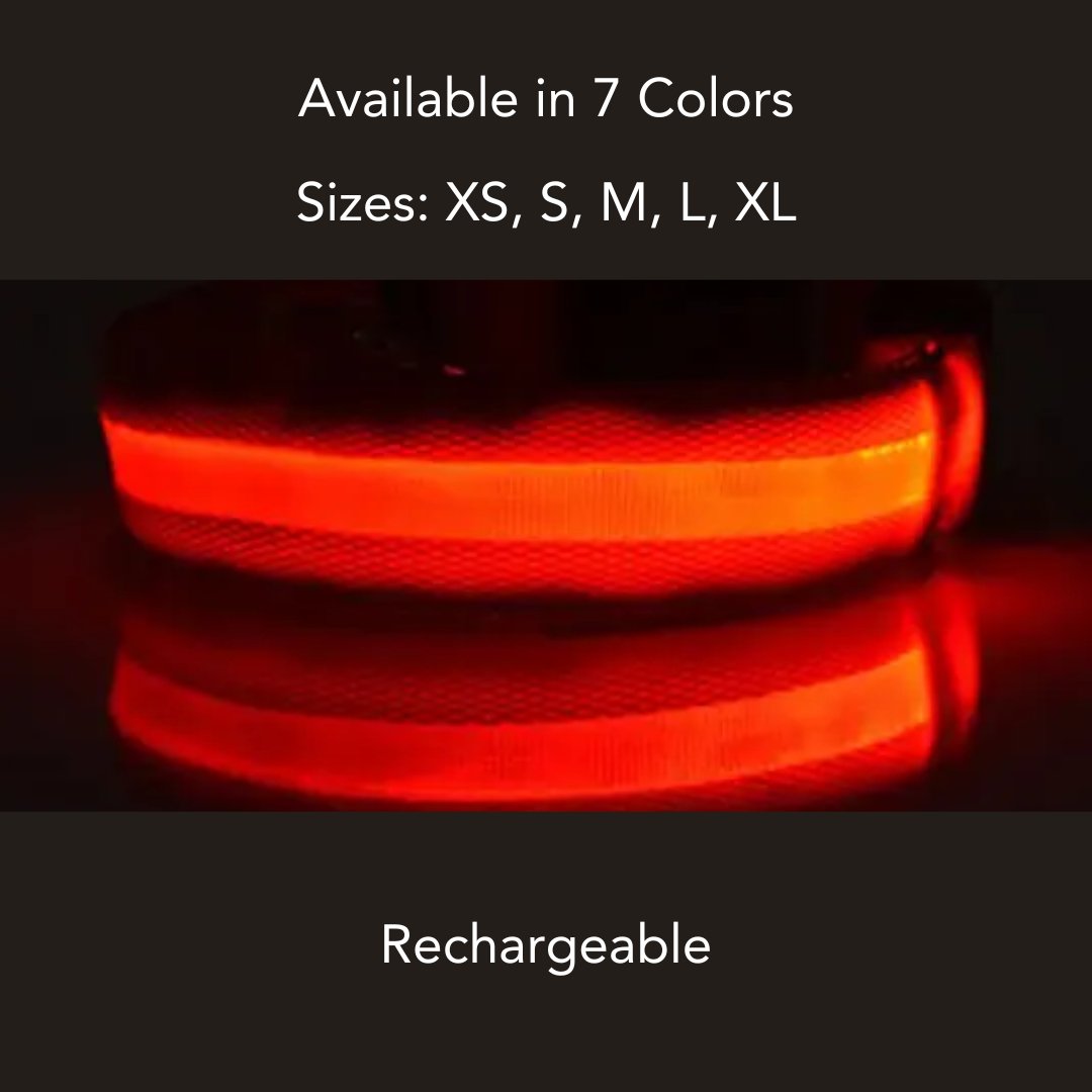 Rechargeable Nylon LED Dog Collar - Cool Gear Pro