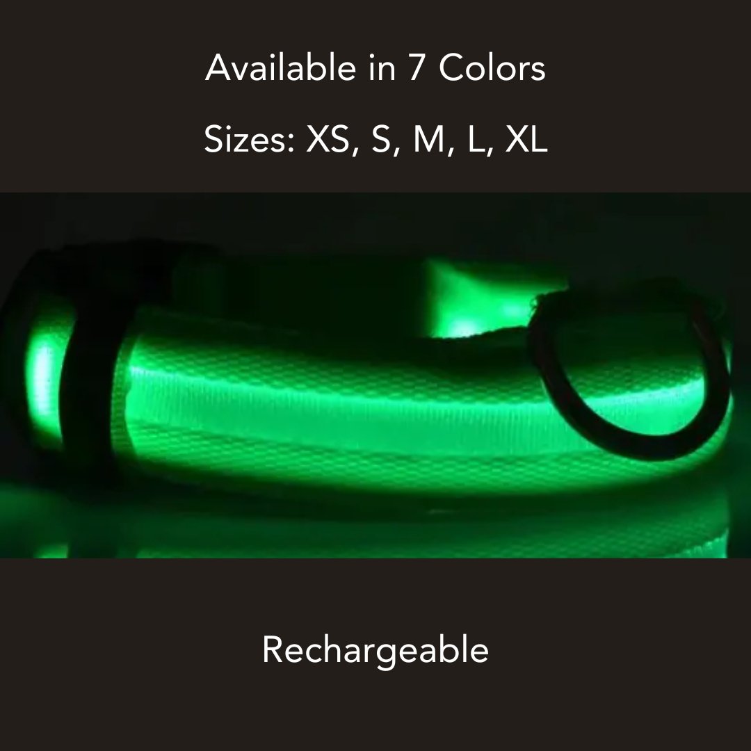 Rechargeable Nylon LED Dog Collar - Cool Gear Pro