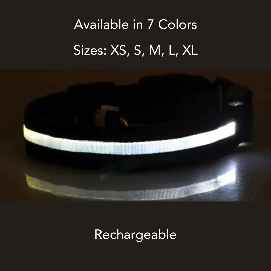 Rechargeable Nylon LED Dog Collar - Cool Gear Pro