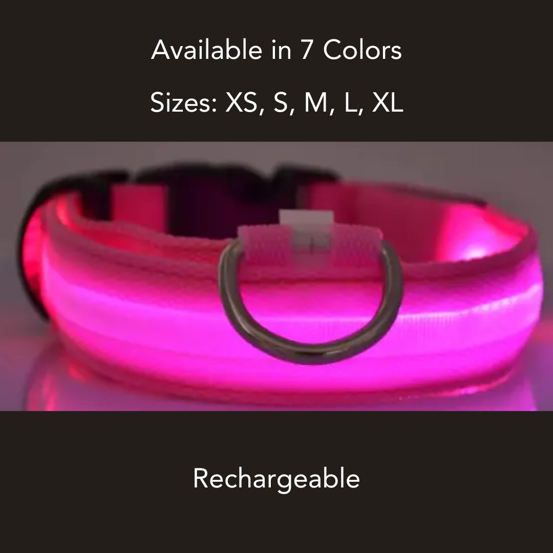 Rechargeable Nylon LED Dog Collar - Cool Gear Pro
