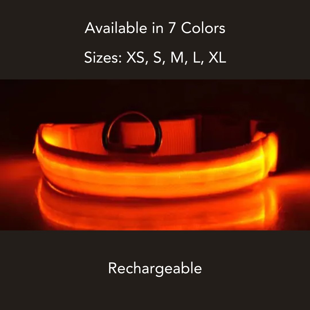 Rechargeable Nylon LED Dog Collar - Cool Gear Pro