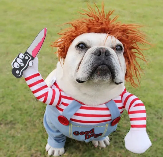 Spooky Halloween Dog Costumes - Cool Gear Pro
