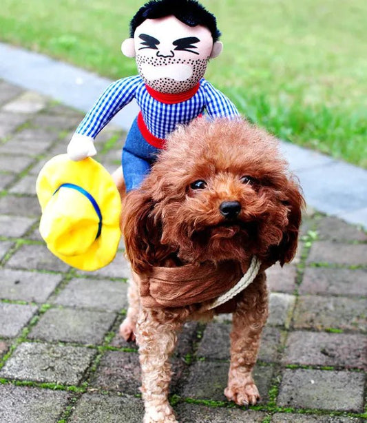 Spooky Halloween Dog Costumes - Cool Gear Pro