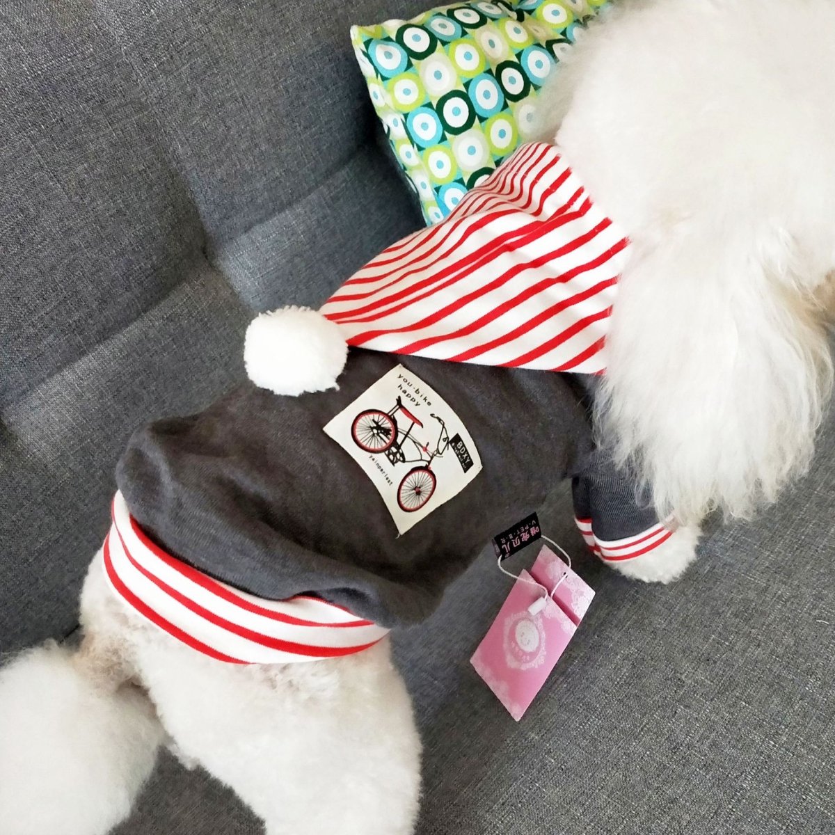 Spring And Summer Dog Hoodie - Infinity Dog