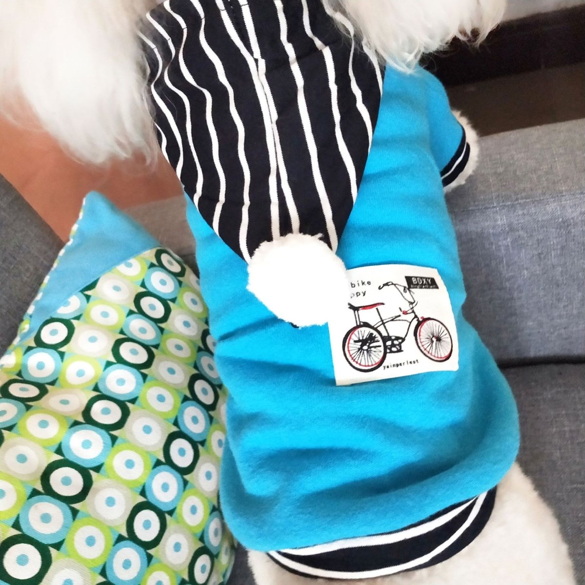 Spring And Summer Dog Hoodie - Infinity Dog
