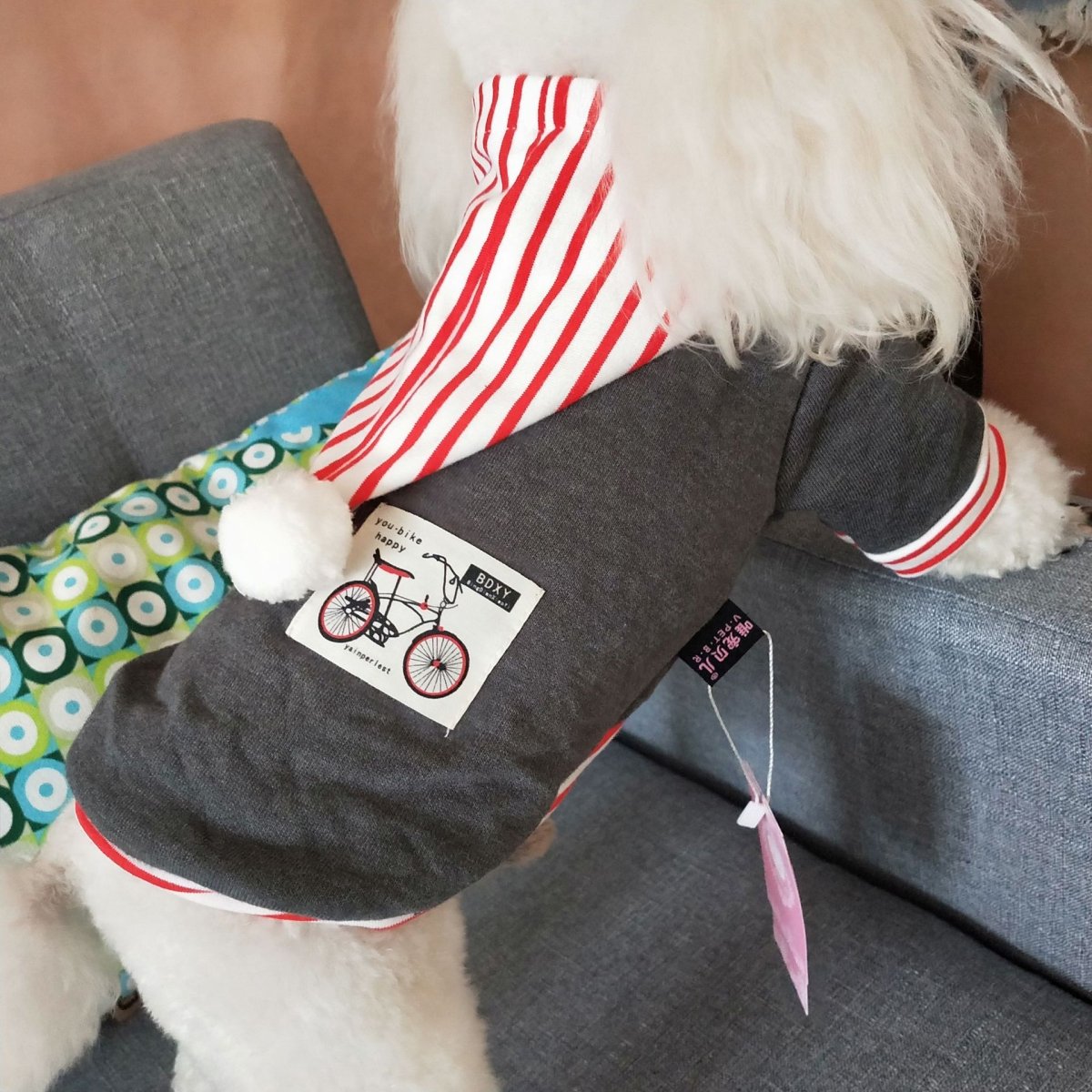 Spring And Summer Dog Hoodie - Infinity Dog