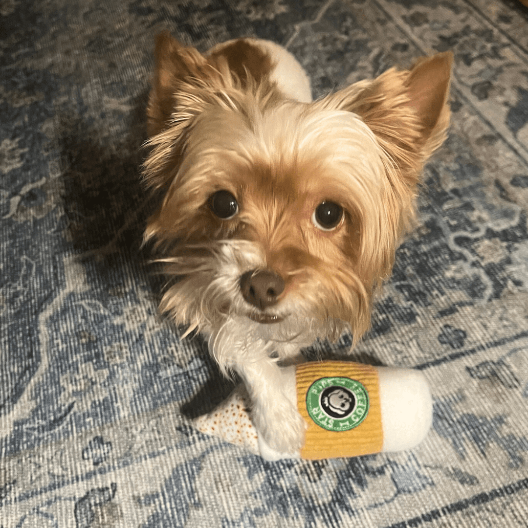 Stressed Mom Dog Toy Survival Kit - Infinity Dog