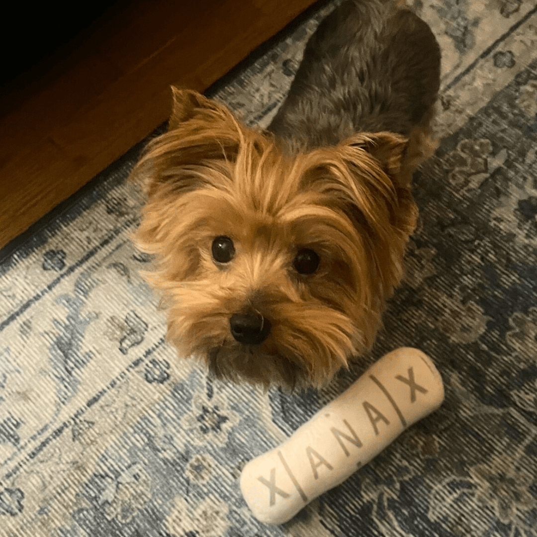 Stressed Mom Dog Toy Survival Kit - Infinity Dog