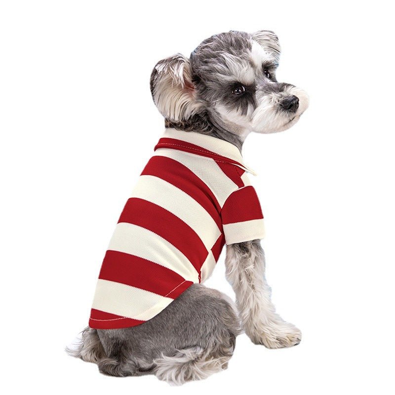 Striped Dog Polo Shirt - Infinity Dog